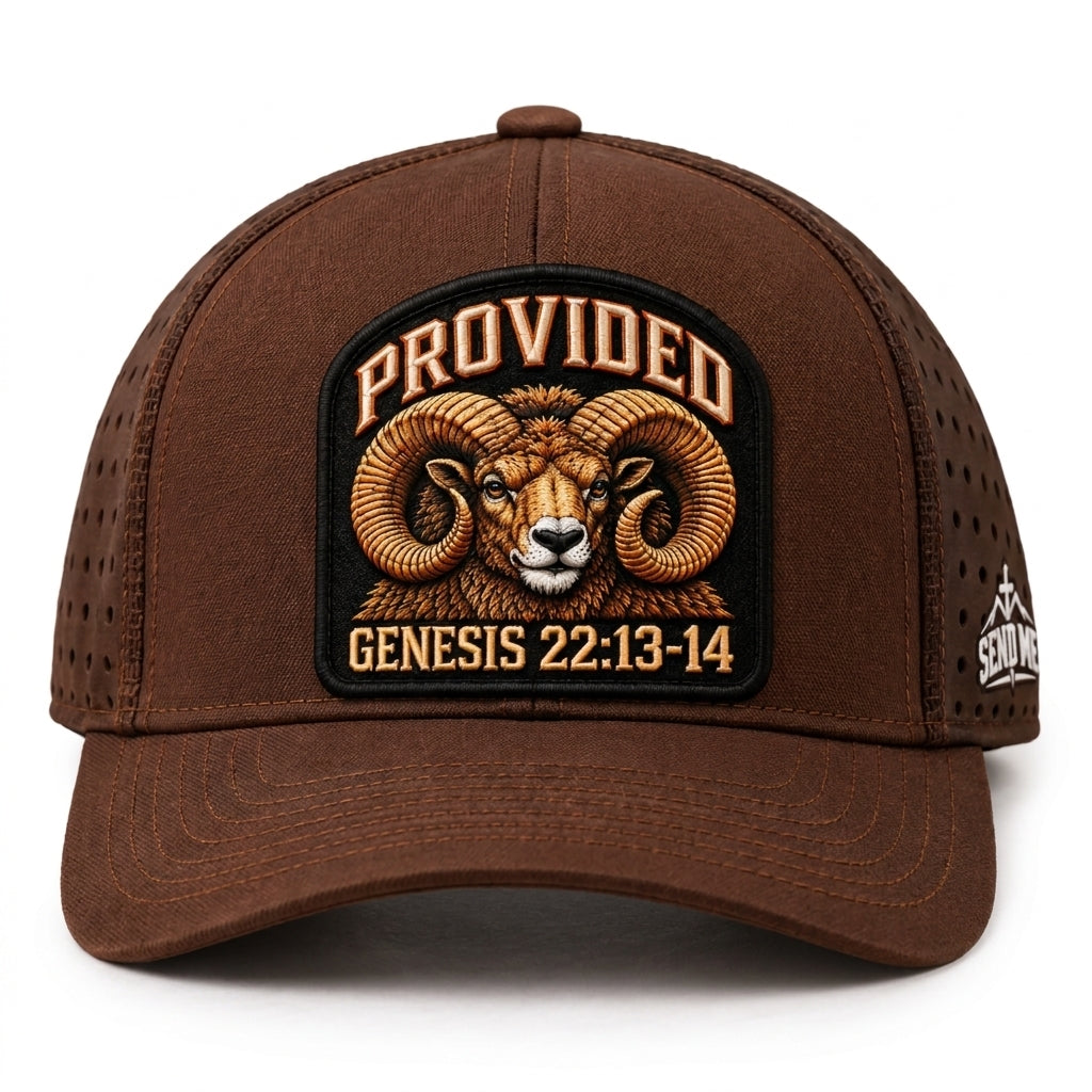 Provided - Brown Ram Performance Hat
